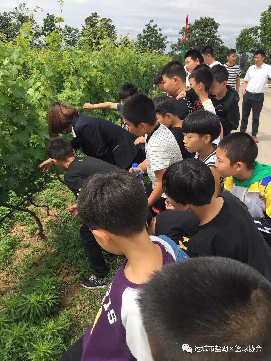 如何制定智能篮球训练计划_0